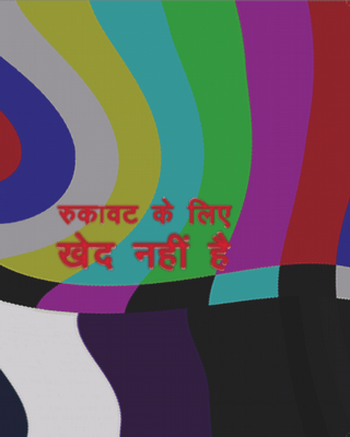 Sarai - No Apologies for the Interruption - Hindi